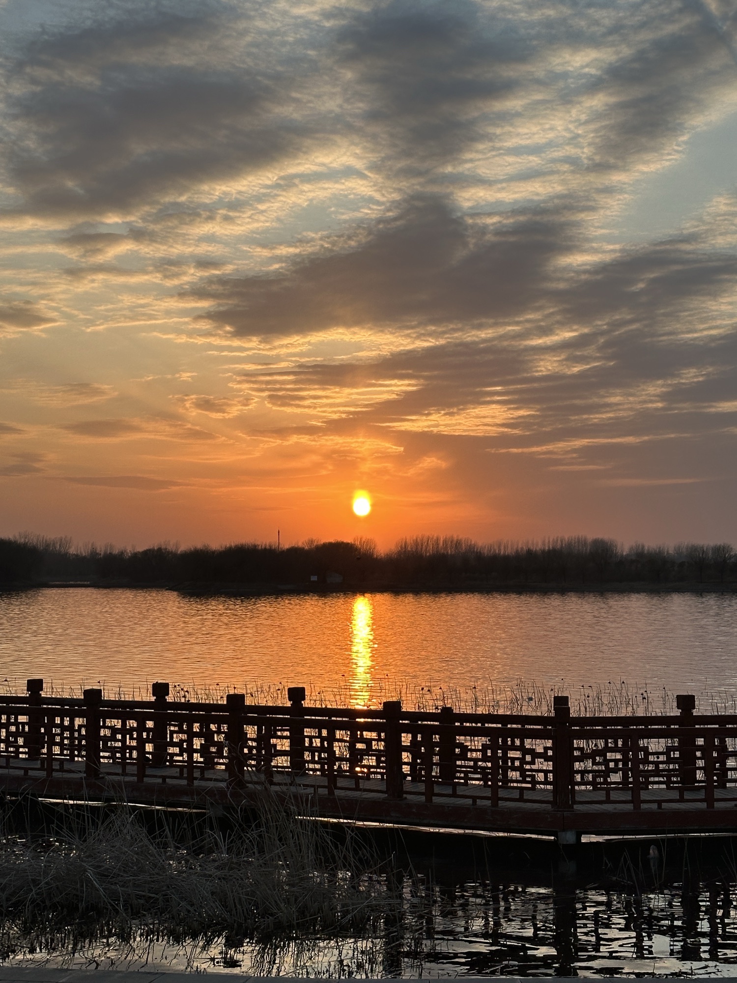 鄢陵鹤鸣湖旅行图片 2
