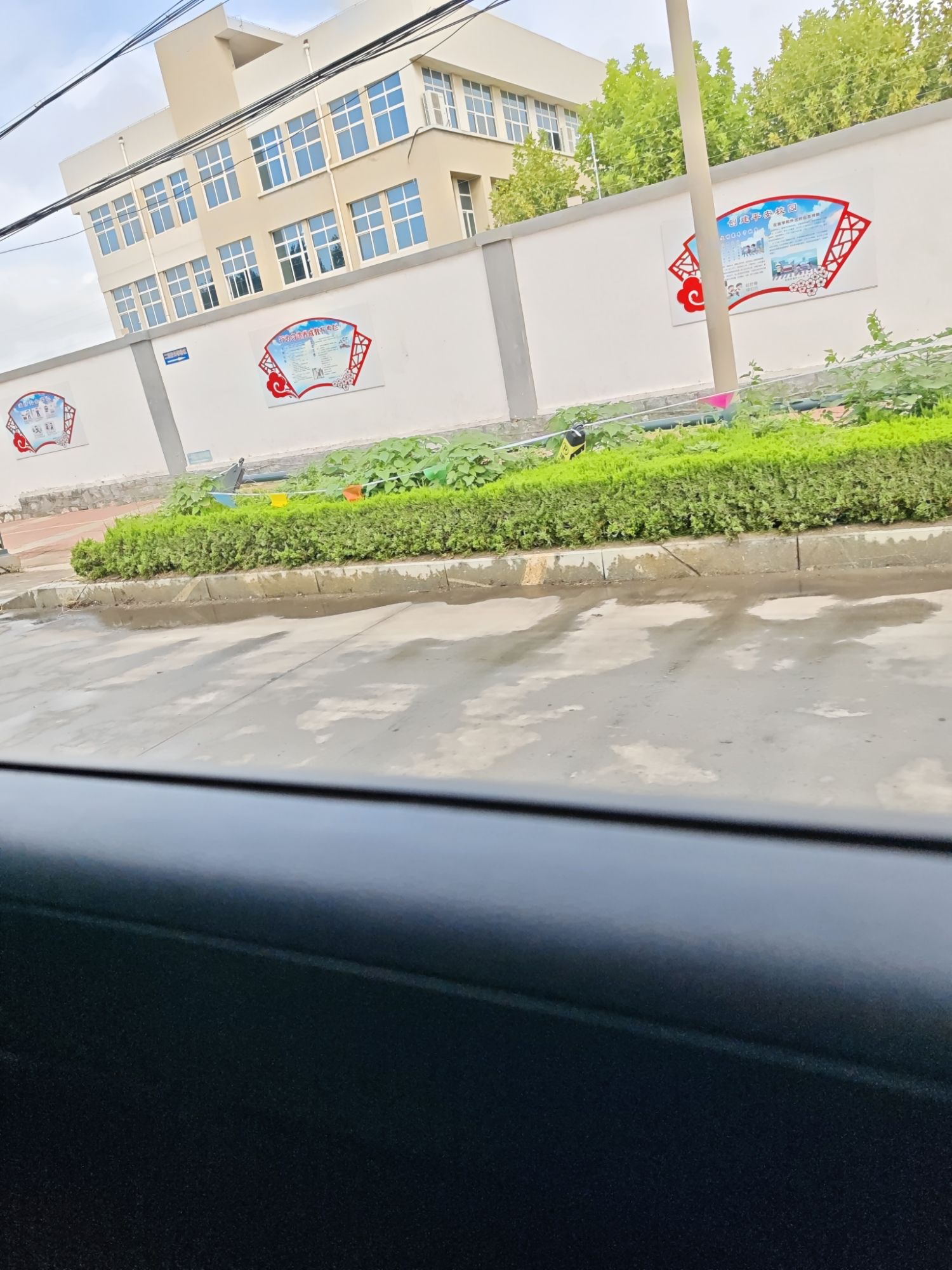 济南野生动物世界旅行图片 2