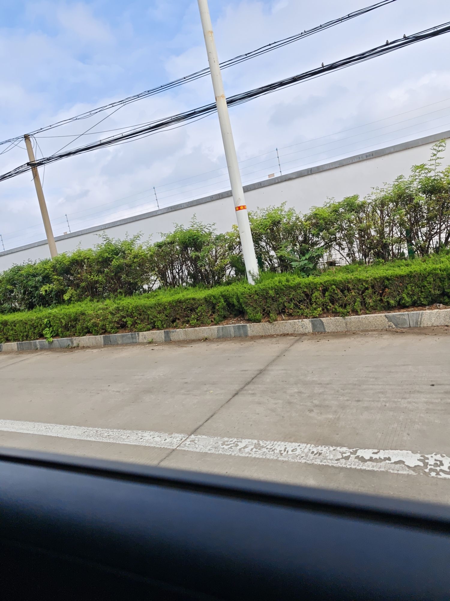 济南野生动物世界旅行图片 3