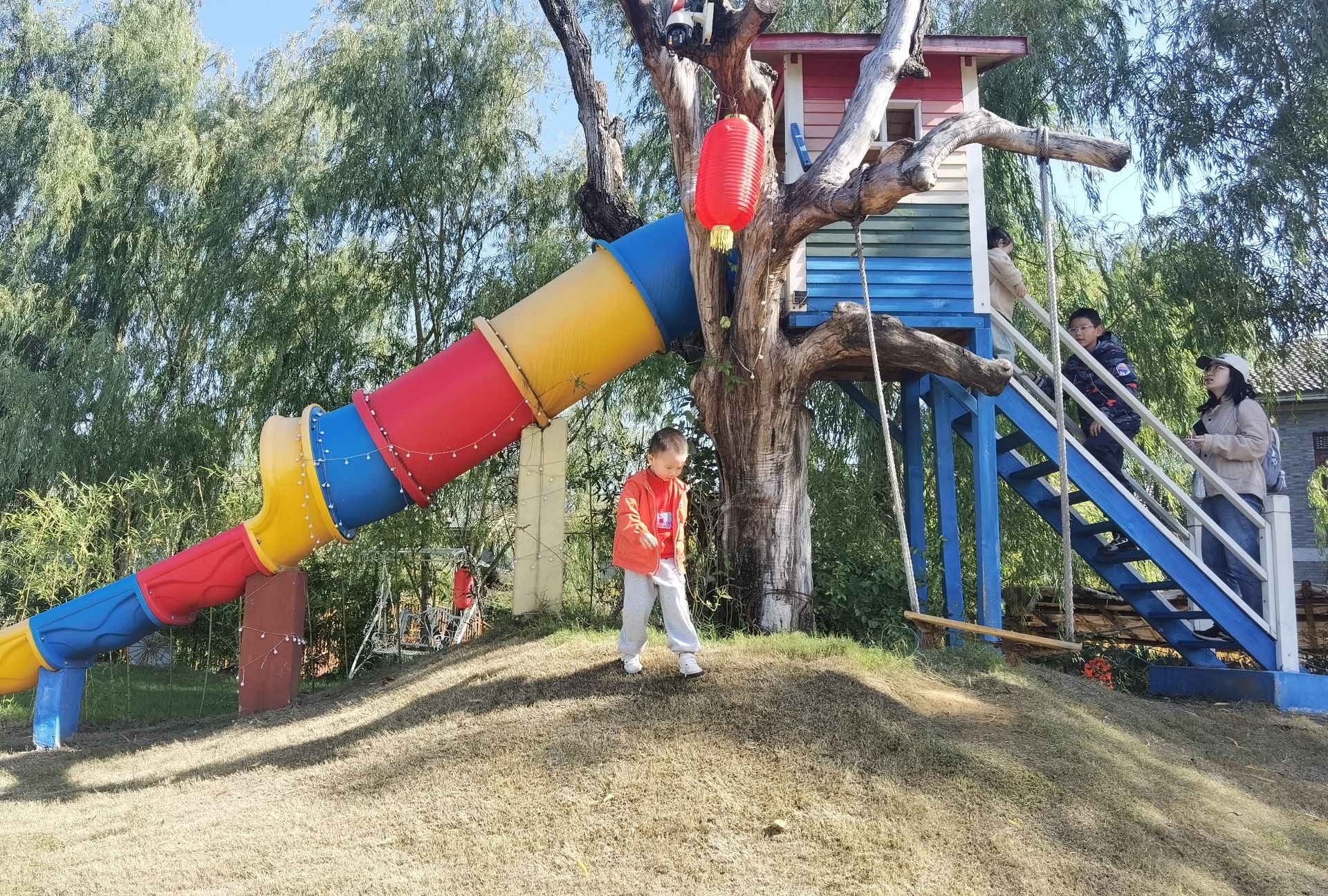 莫愁慧康·中医文化小镇旅行图片 2