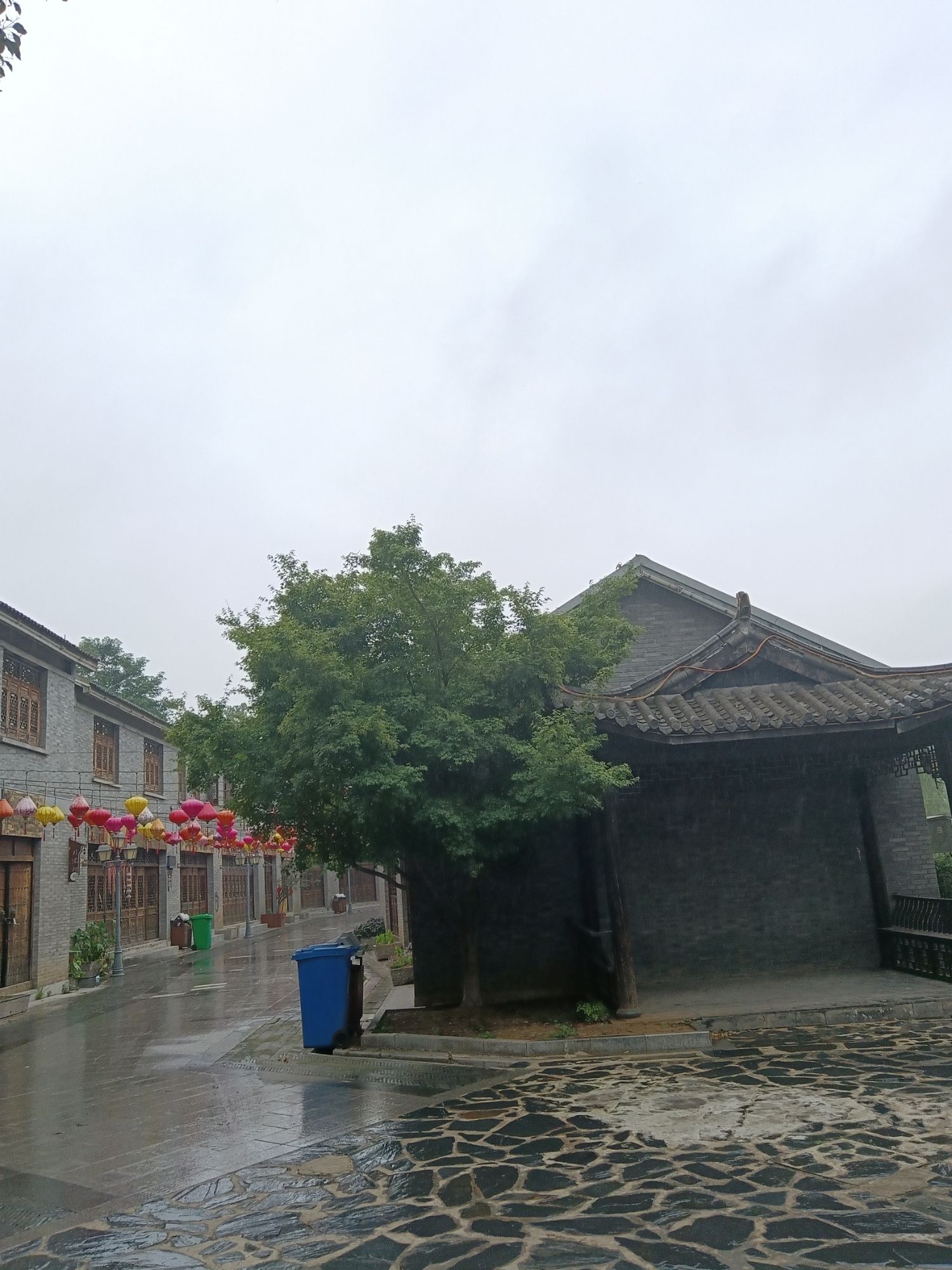 莫愁慧康·中医文化小镇旅行图片 1