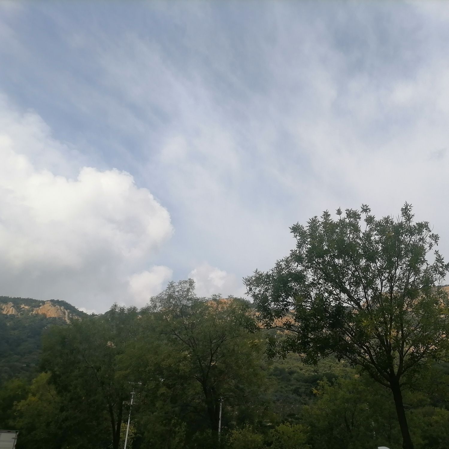蓬莱艾山国家森林公园旅行图片 3