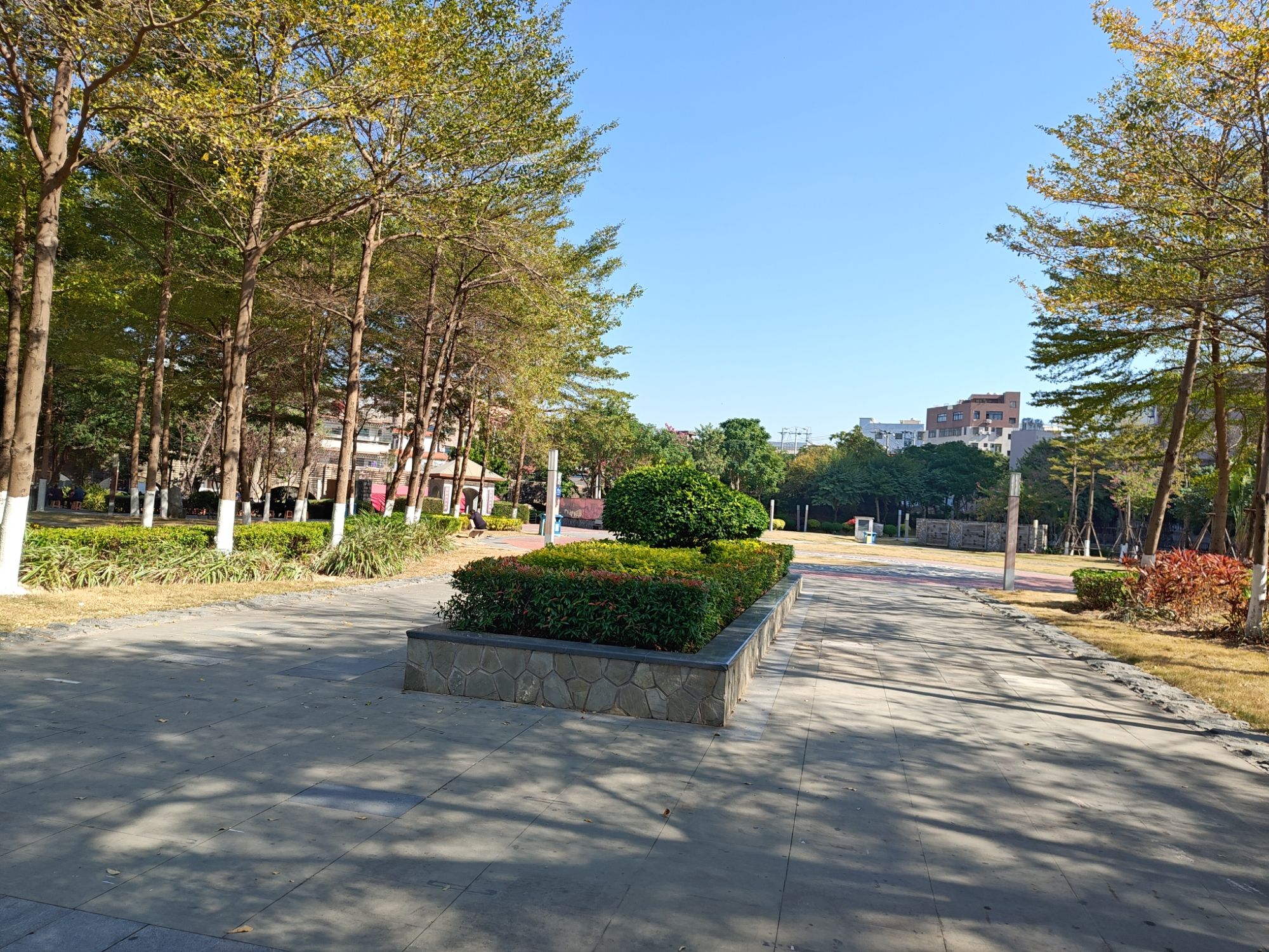 渡桥公园旅行图片 2