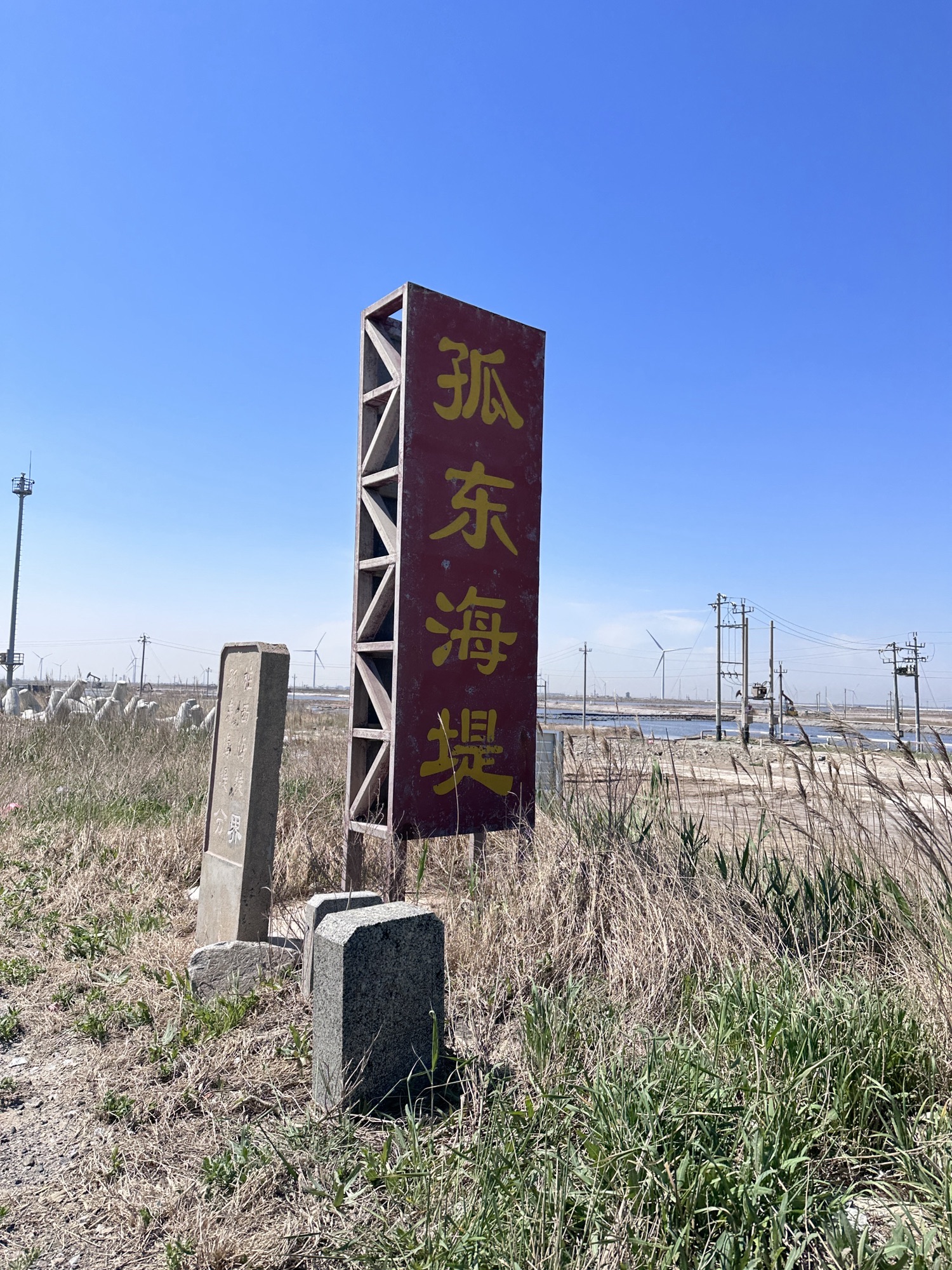 孤东海堤旅行图片 3