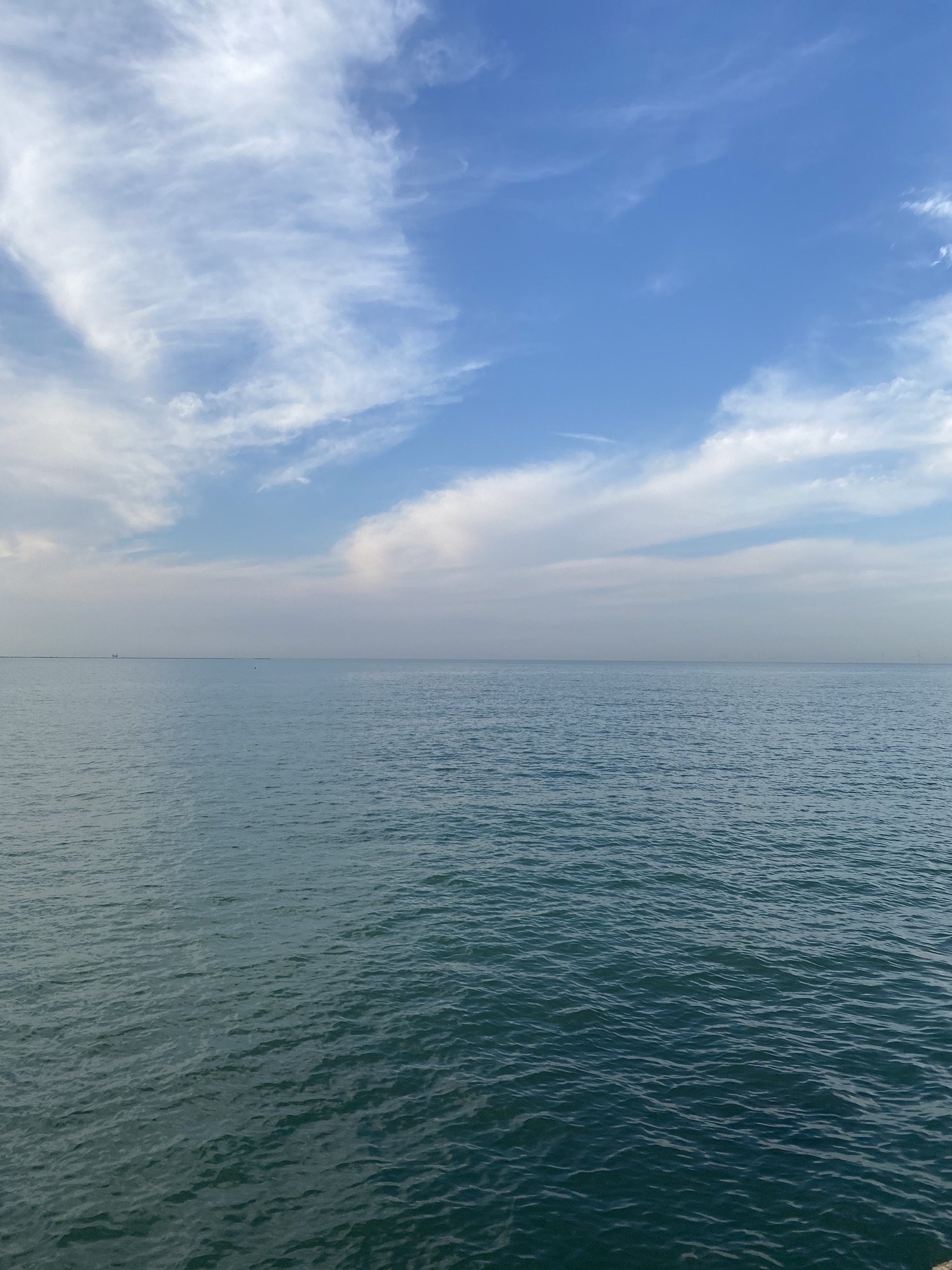 孤东海堤旅行图片 2