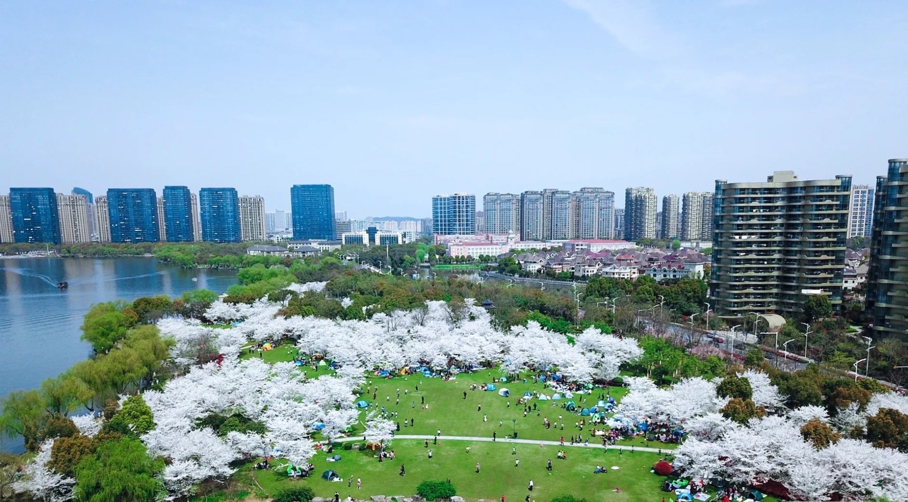 坂湖公园旅行图片 2