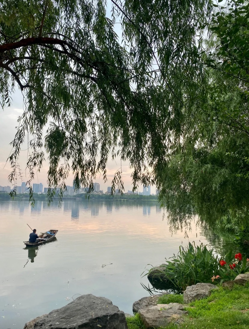 坂湖公园旅行图片 2