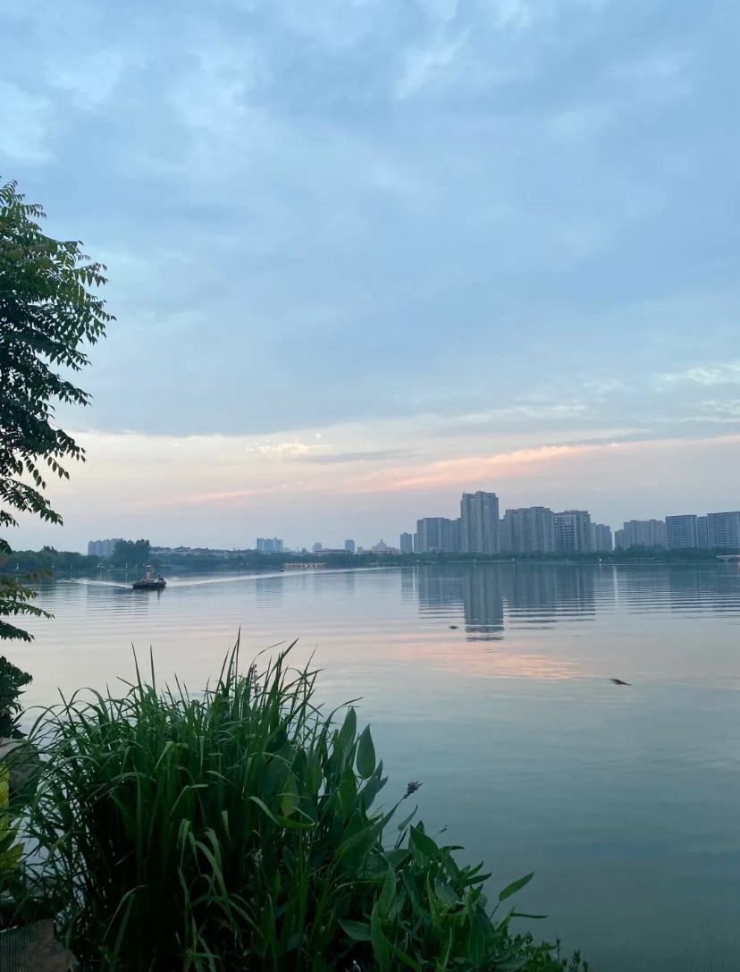 坂湖公园旅行图片 1