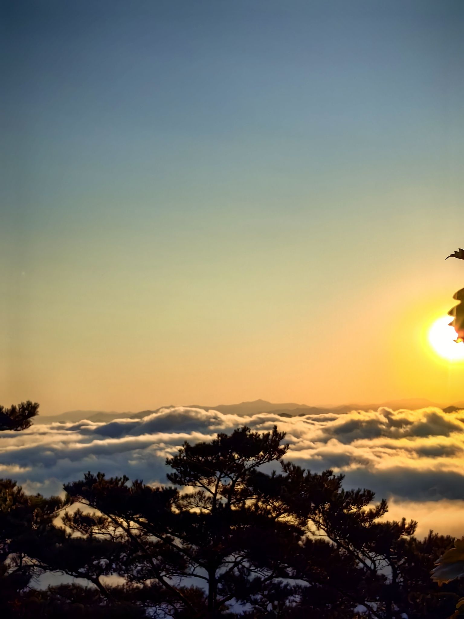神仙顶旅行图片 3