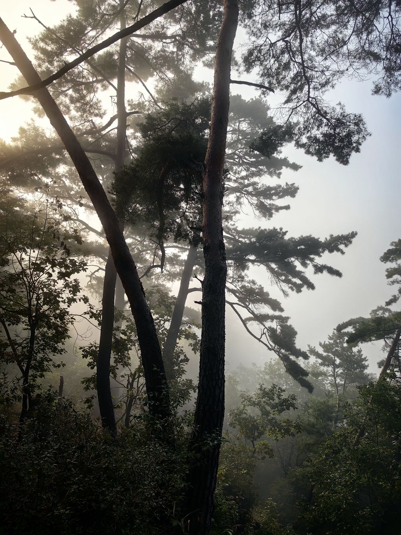 神仙顶旅行图片 2