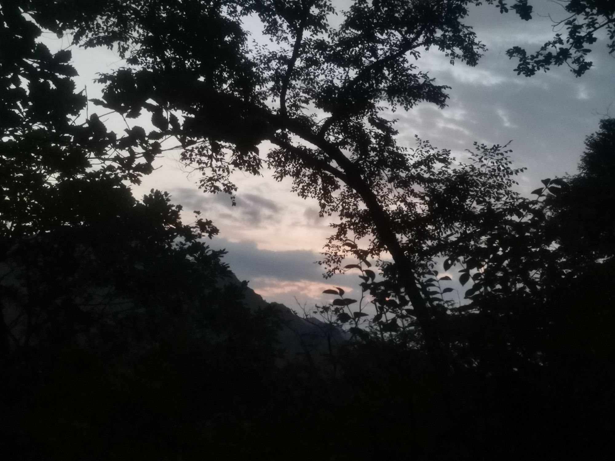 神仙顶旅行图片 1