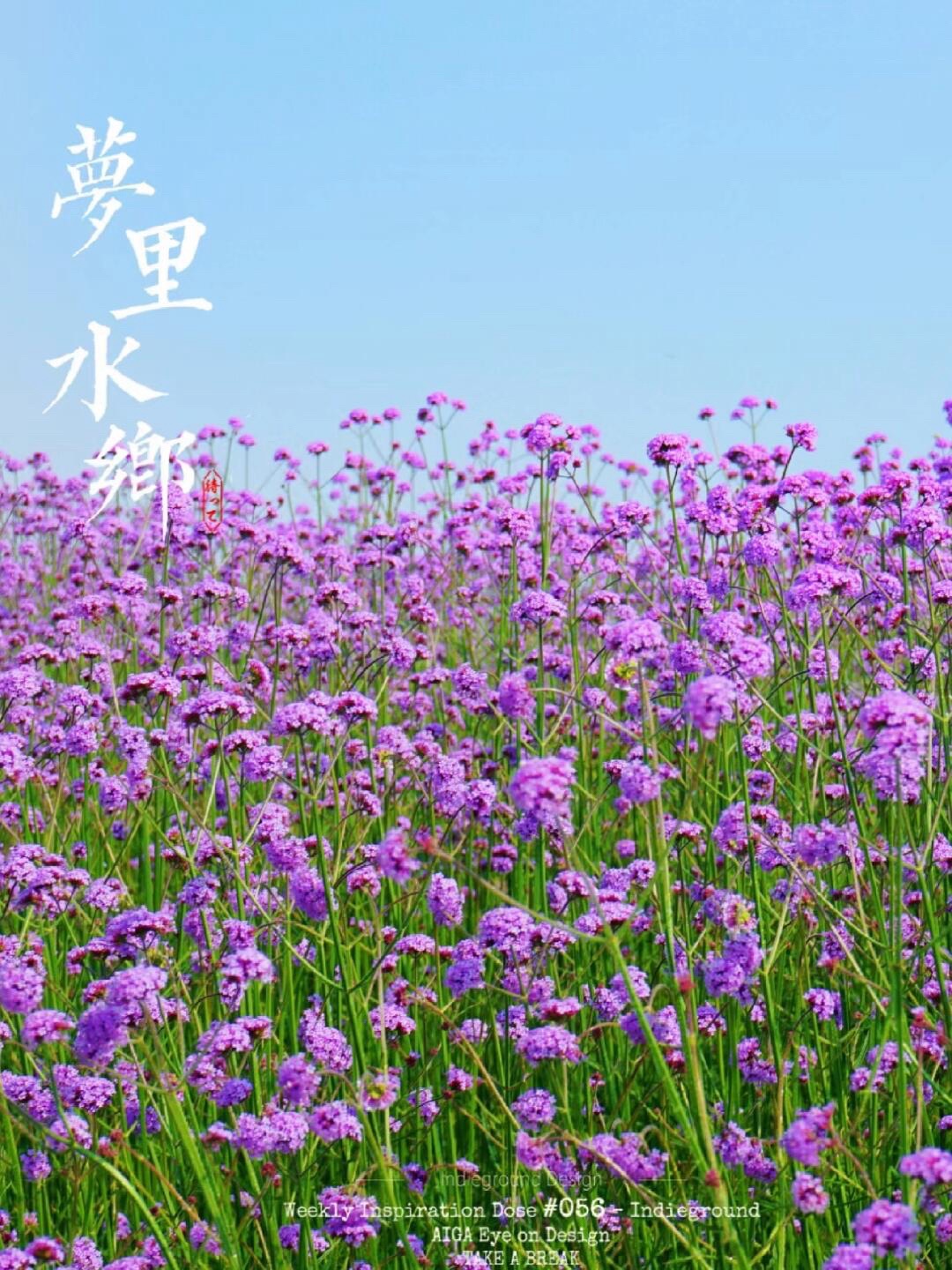 贤鲁岛旅行图片 2