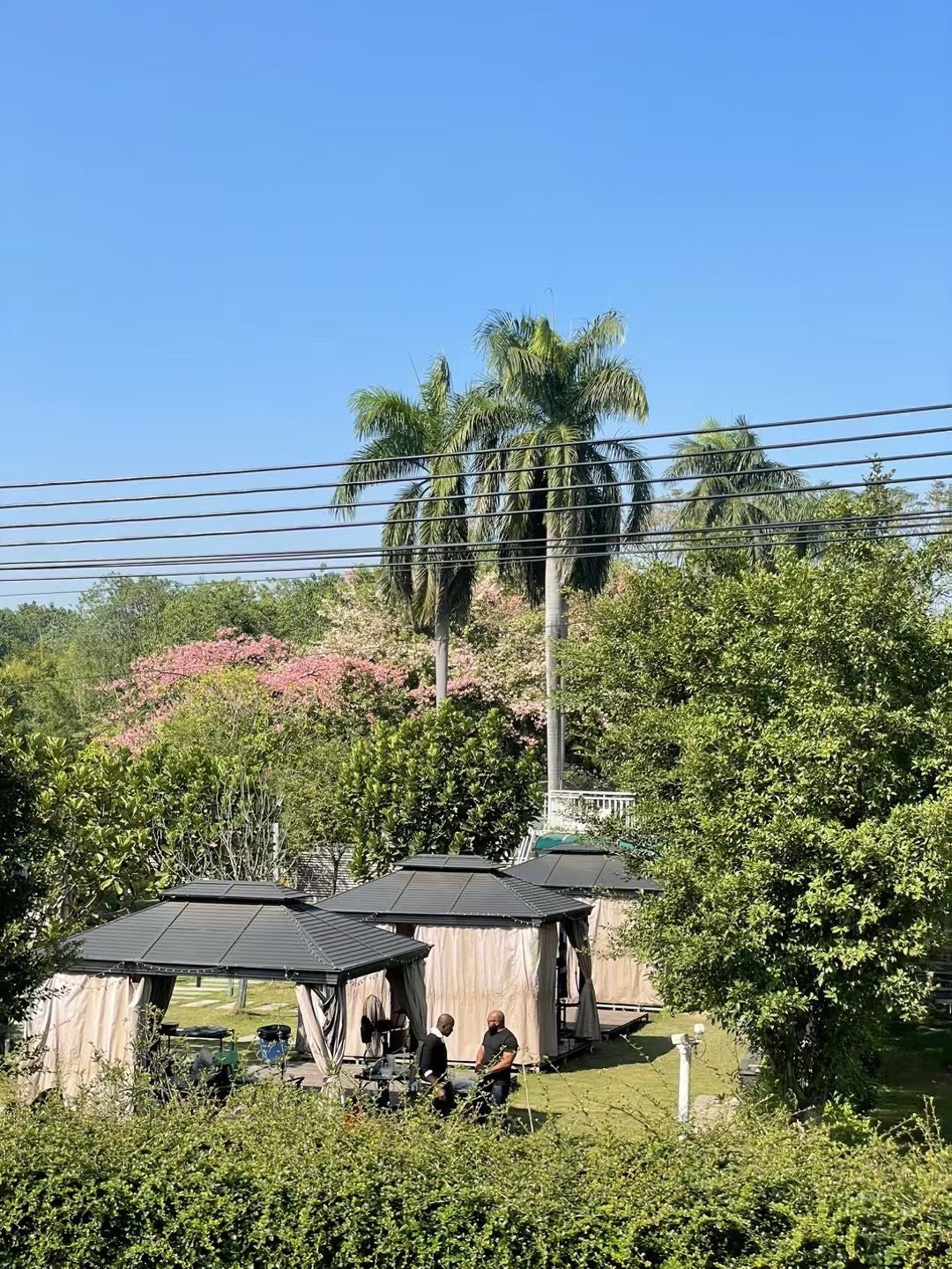 贤鲁岛旅行图片 2