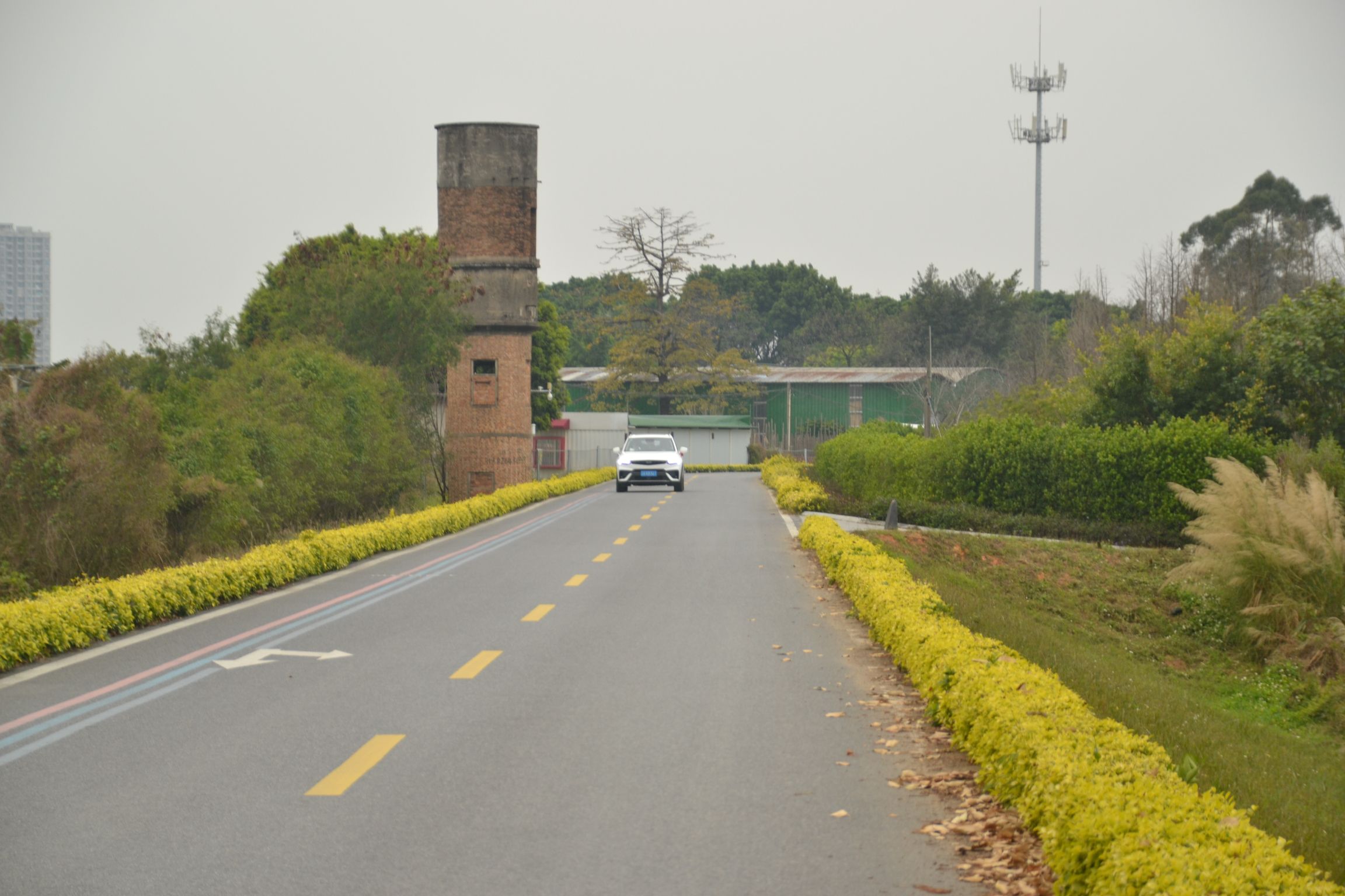 贤鲁岛旅行图片 2