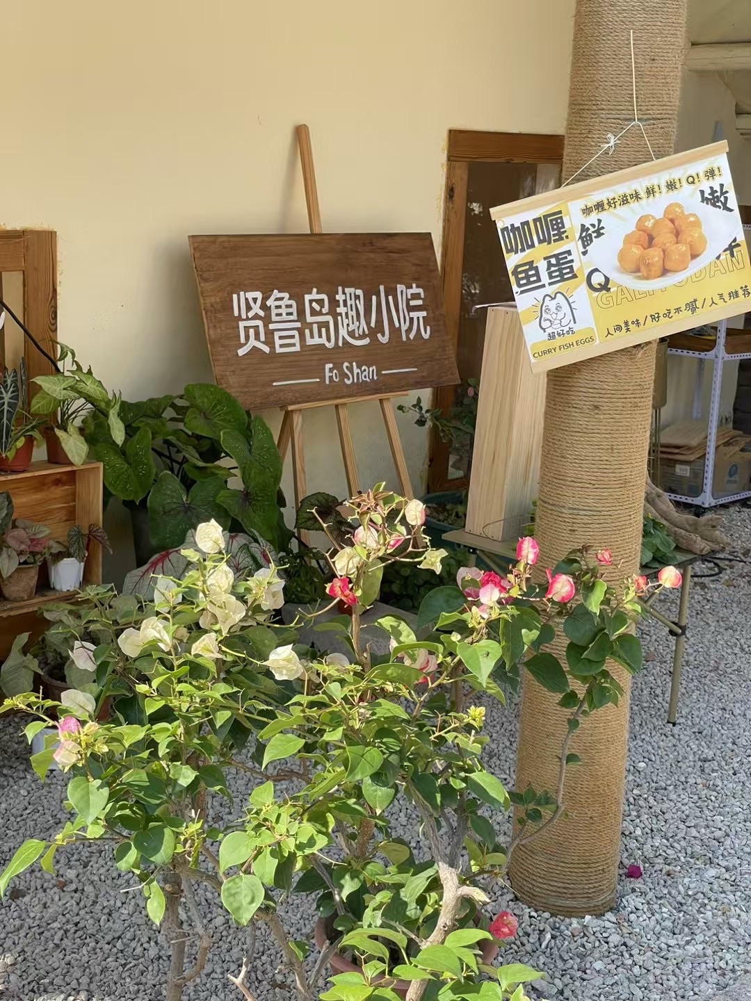 贤鲁岛旅行图片 1