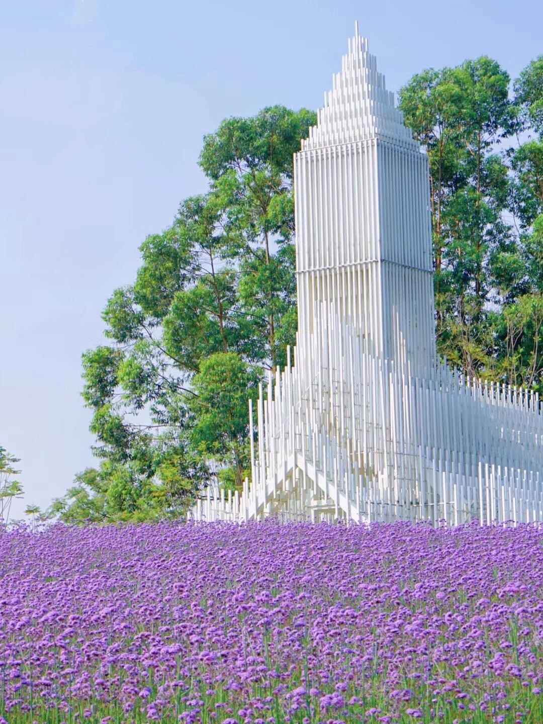 贤鲁岛旅行图片 1