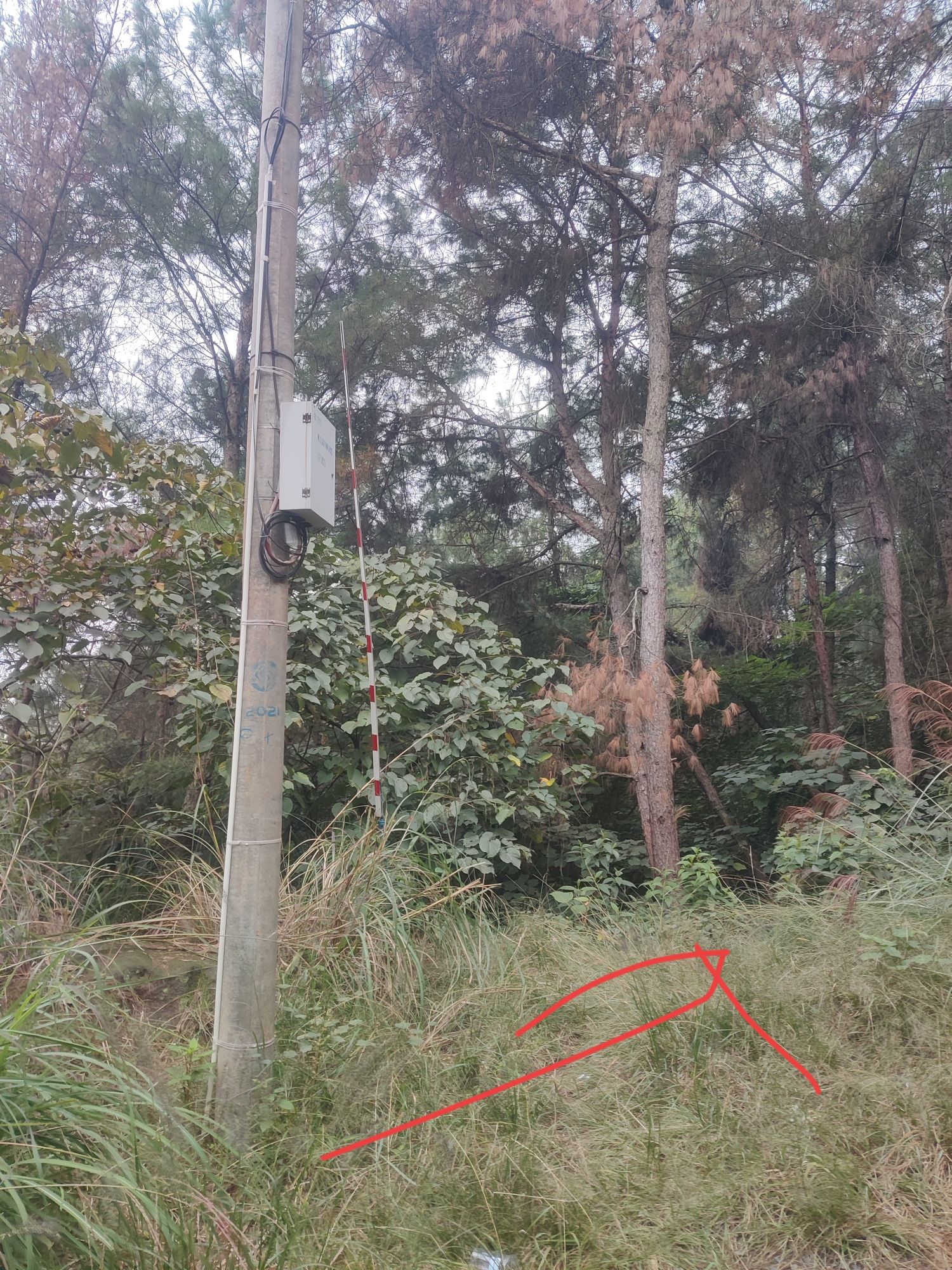 龙鹄山摩崖石刻旅行图片 1