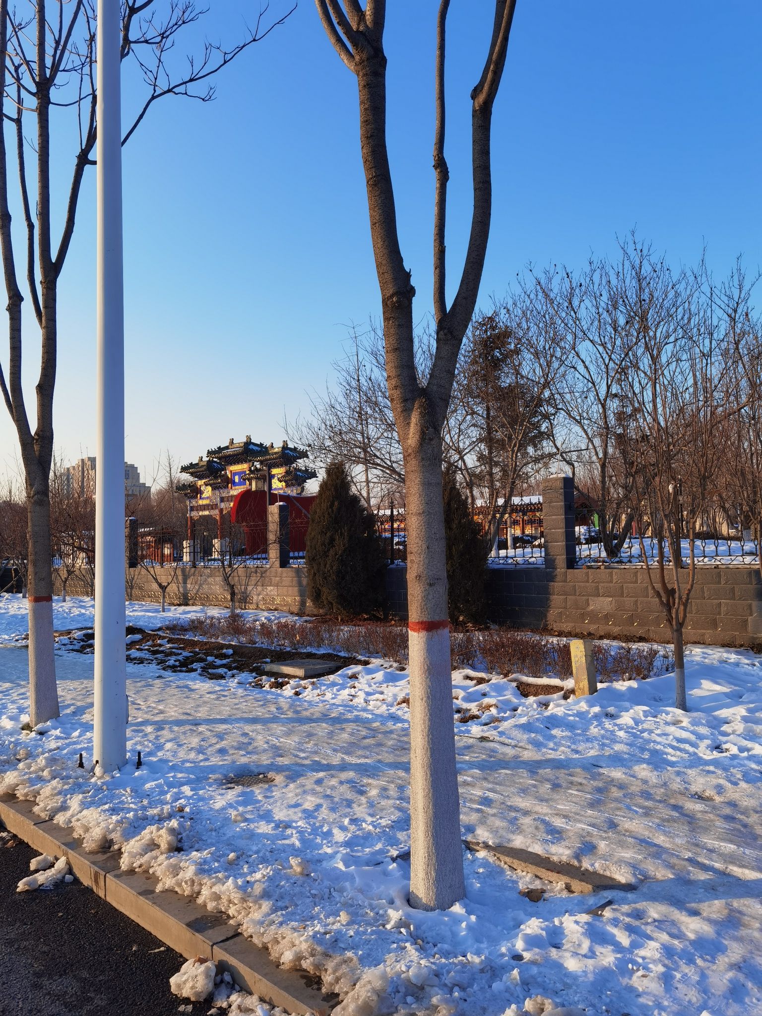 锦园公园旅行图片 2