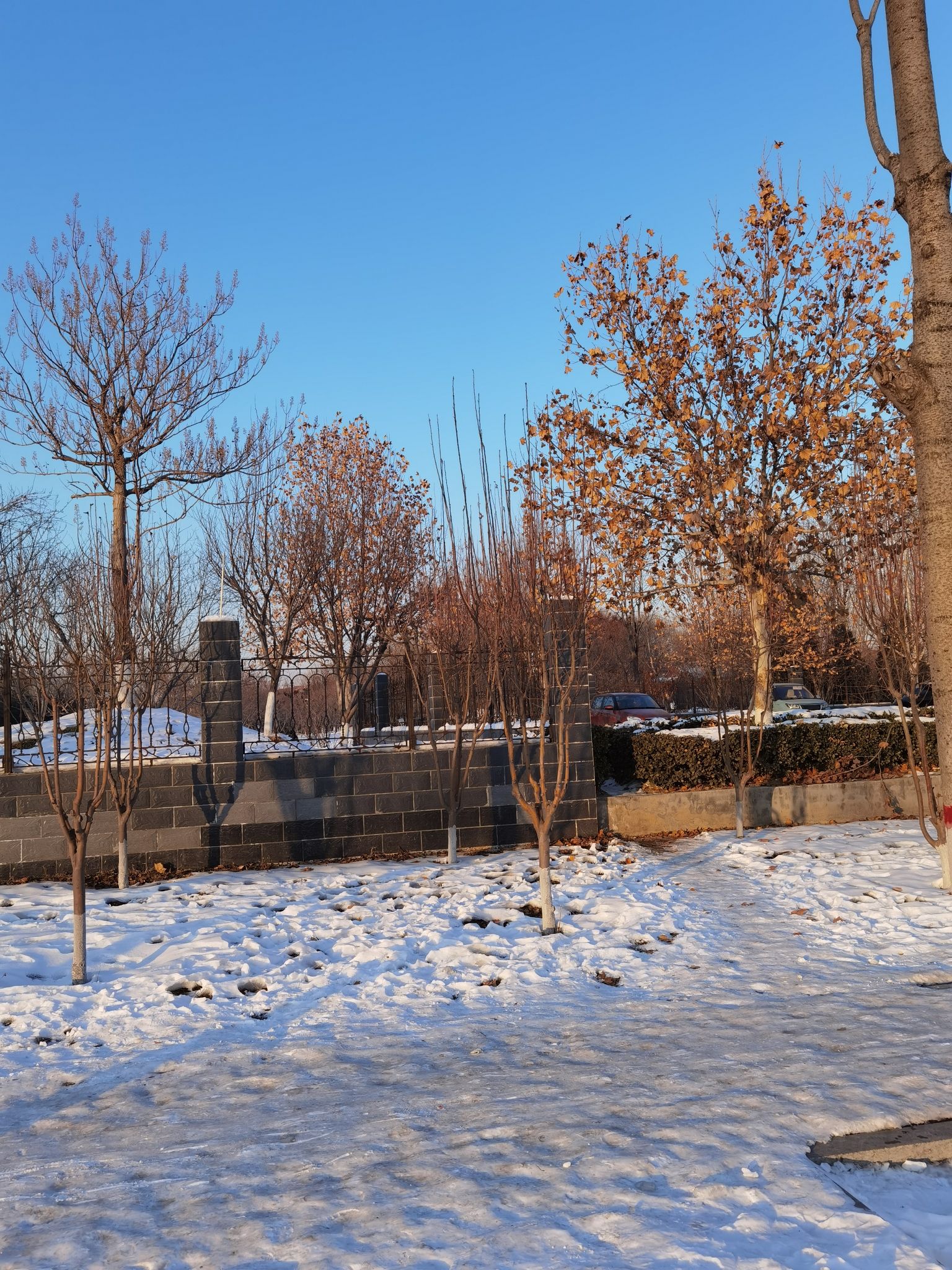 锦园公园旅行图片 3