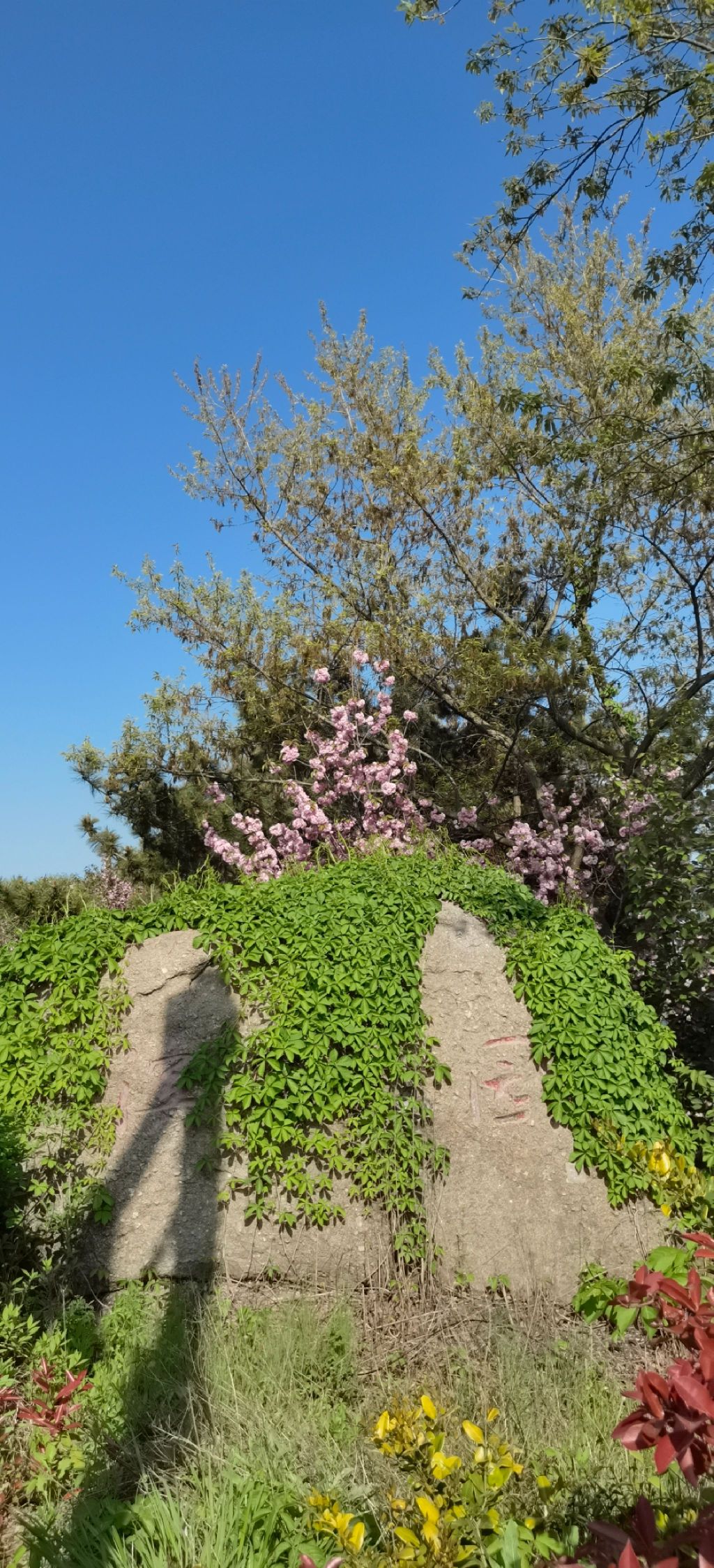 赶海海滩旅行图片 1