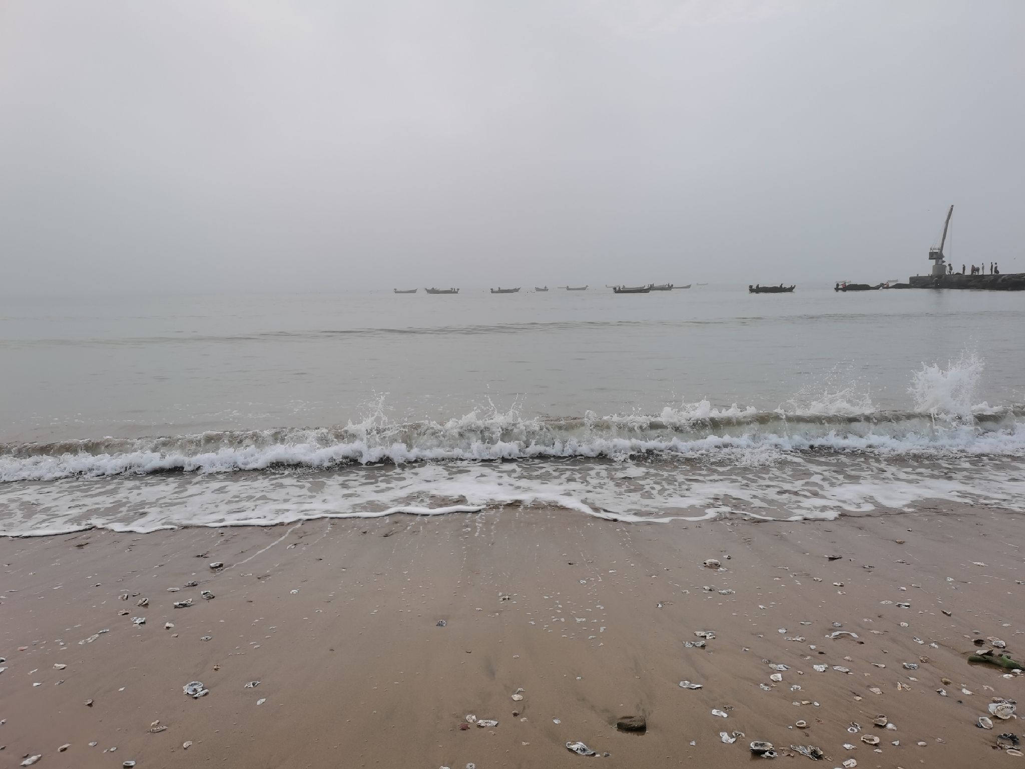 赶海海滩旅行图片 1