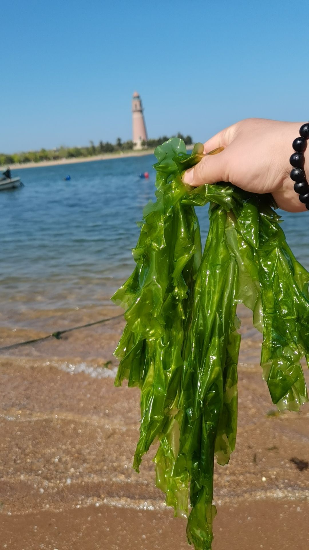 赶海海滩旅行图片 2