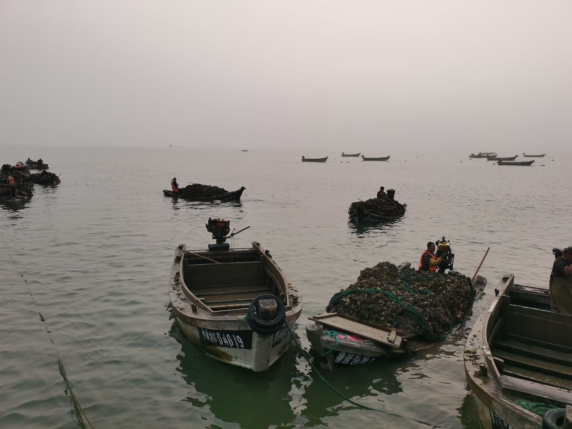 赶海海滩旅行图片 2