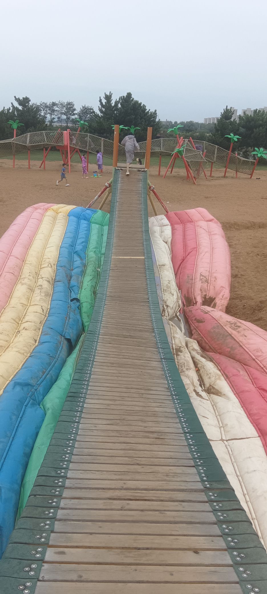赶海海滩旅行图片 3