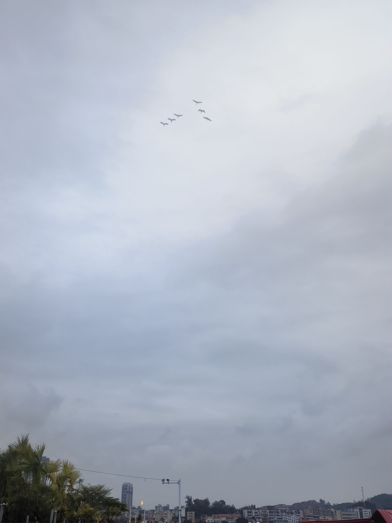 滨海公园旅行图片 3