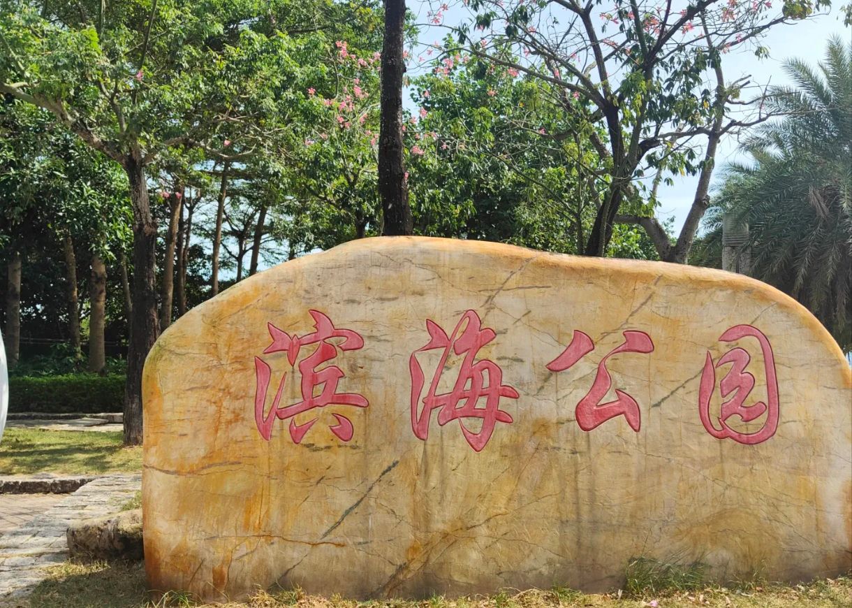 滨海公园旅行图片 1