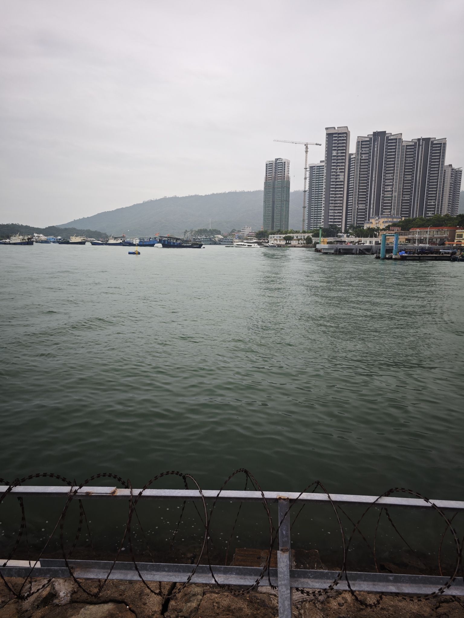 滨海公园旅行图片 3