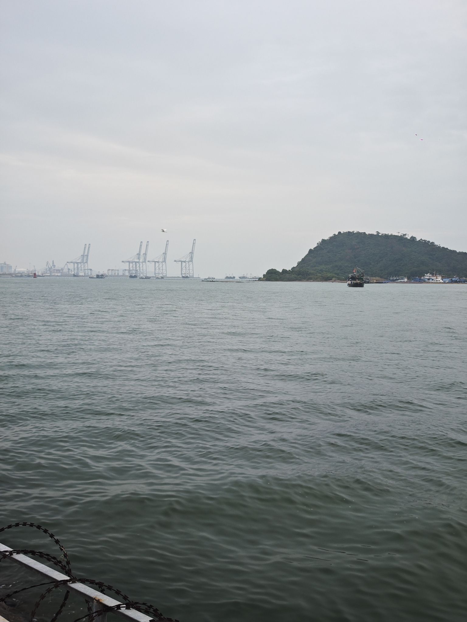 滨海公园旅行图片 1