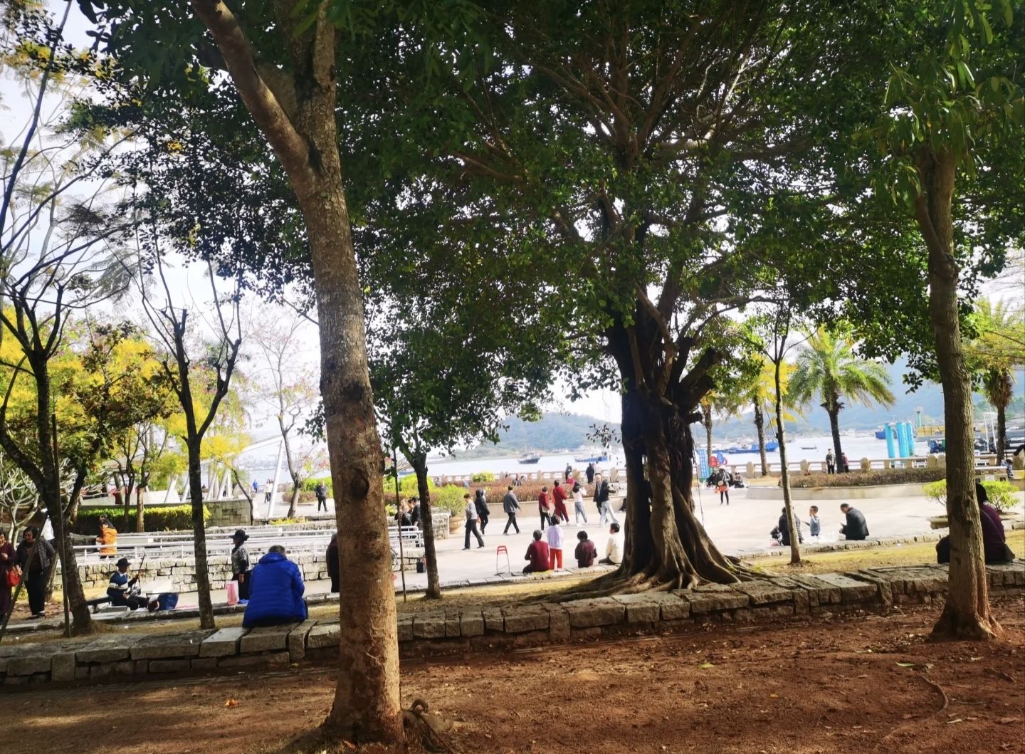 滨海公园旅行图片 1