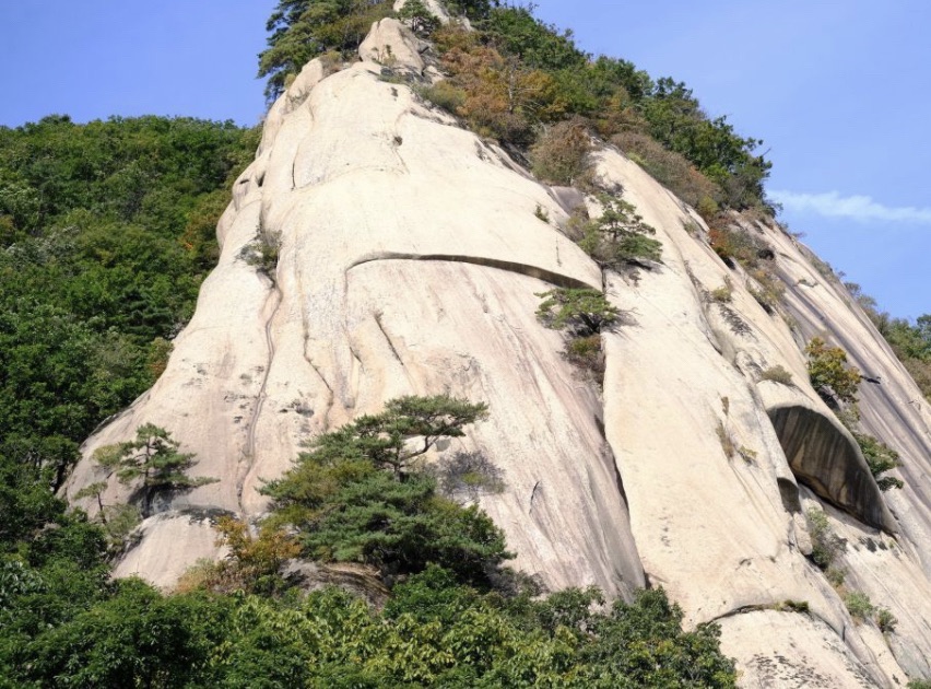 凤凰山公园 - 卧龙街道便民圈栖邻生活圈风景名胜服务点实景照片