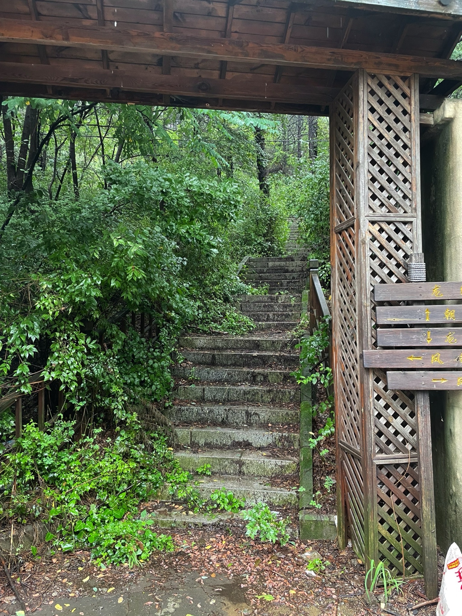 凤凰山公园旅行图片 1