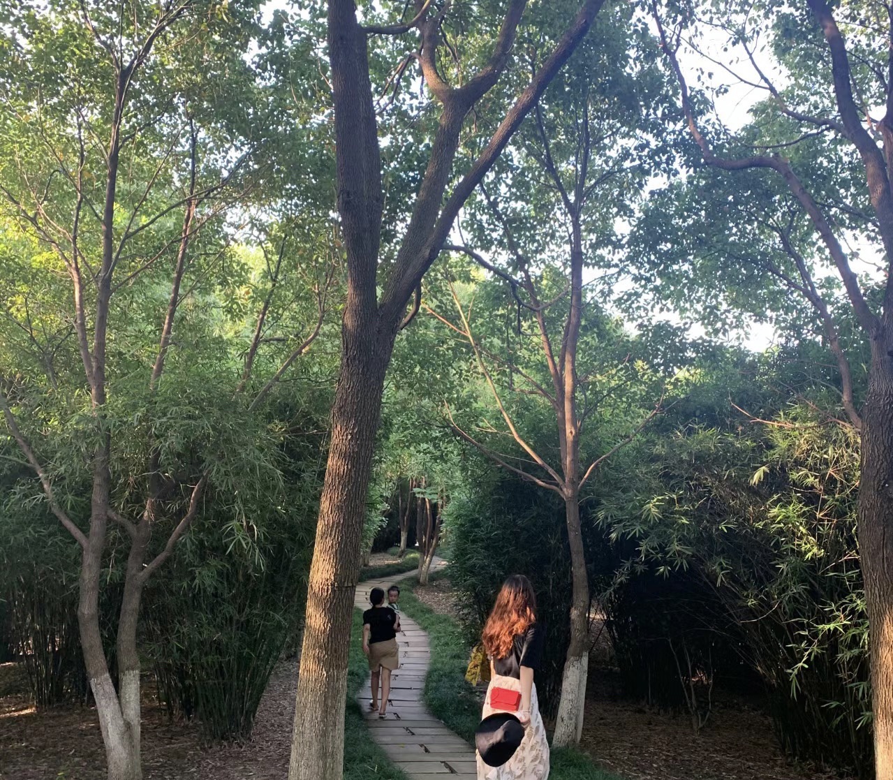 静湖公园旅行图片 2