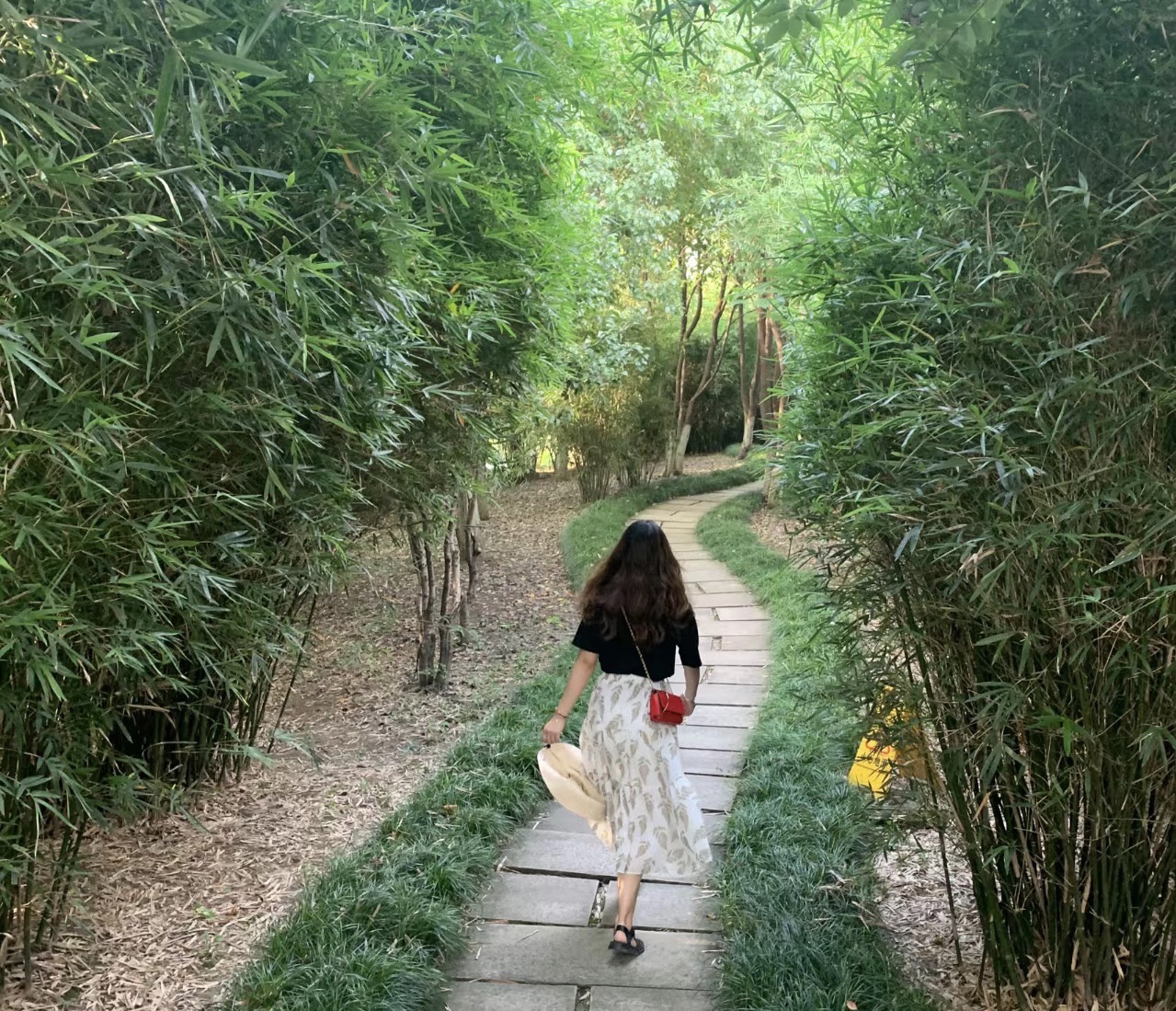 静湖公园旅行图片 1