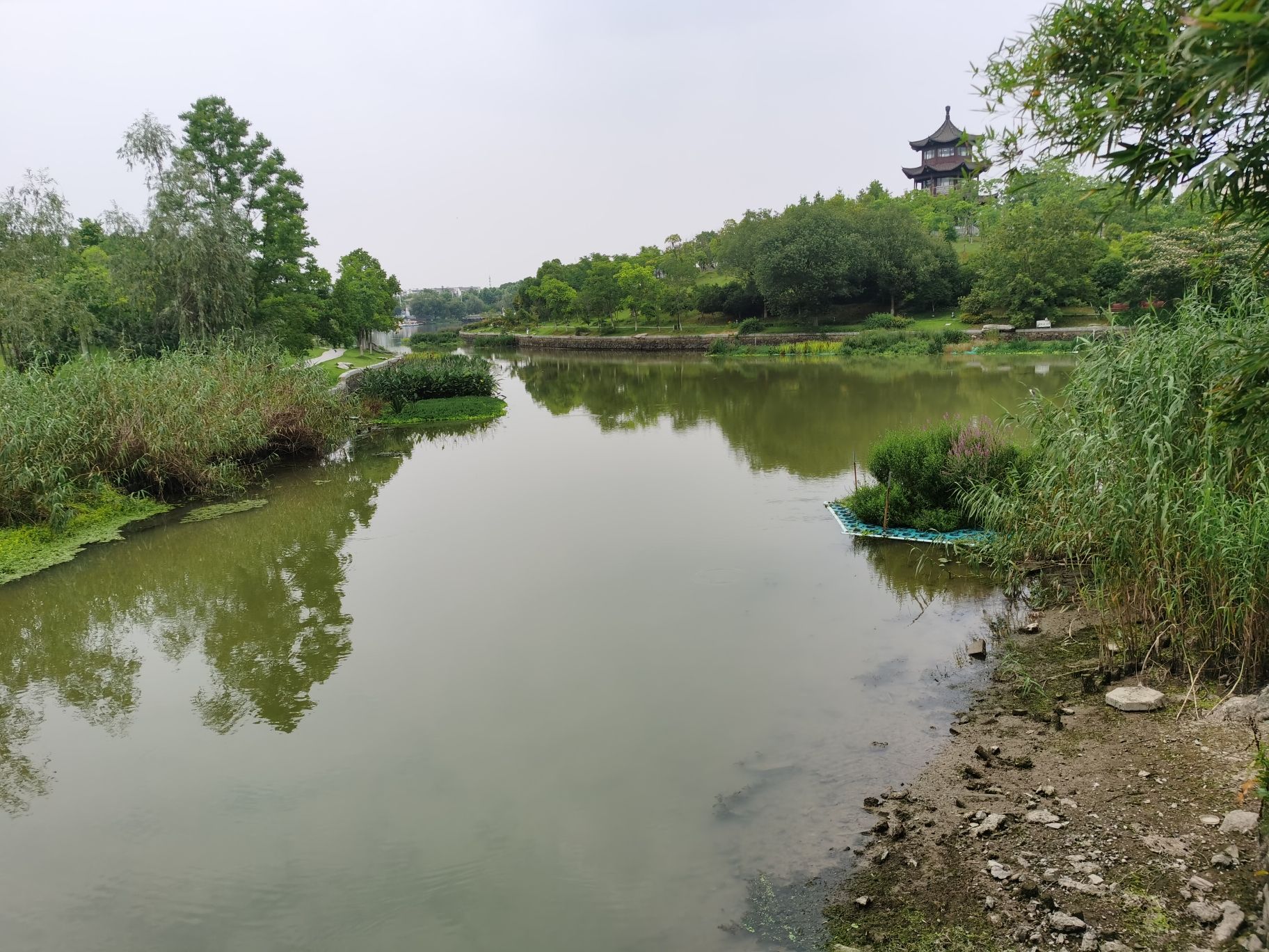 静湖公园旅行图片 2