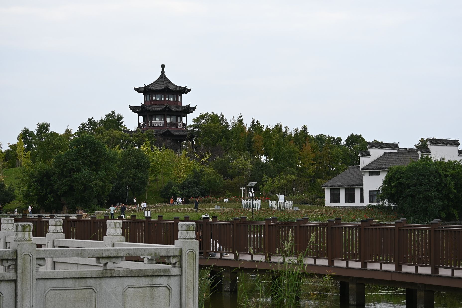 静湖公园旅行图片 3