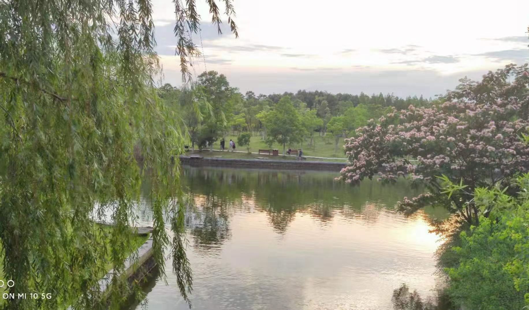 静湖公园旅行图片 3