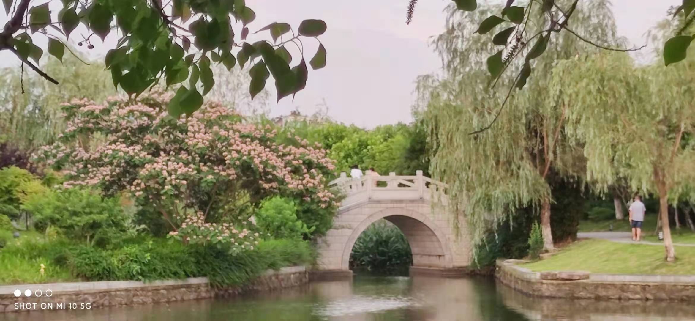 静湖公园旅行图片 2