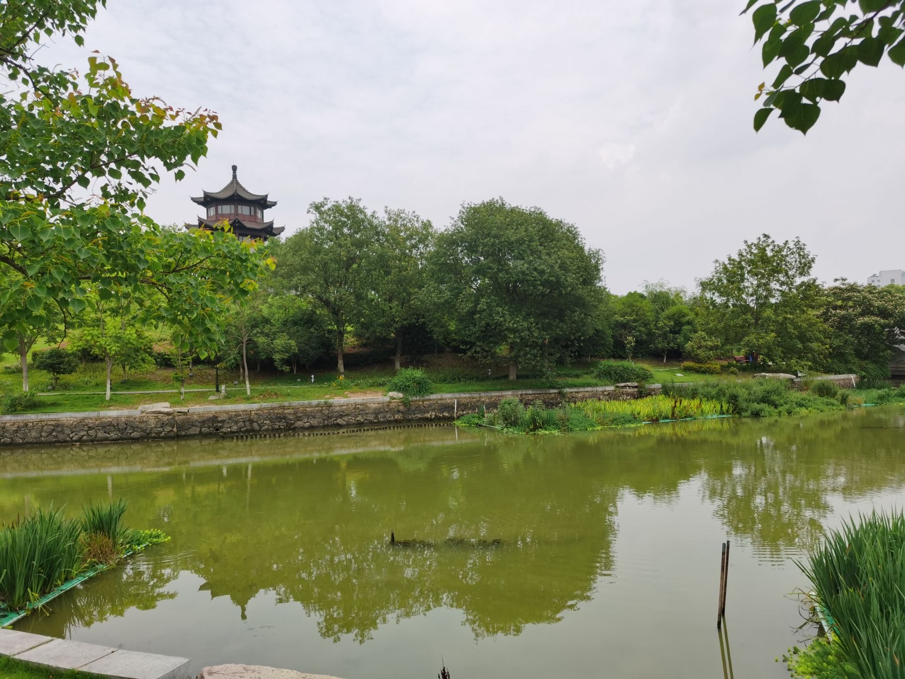静湖公园旅行图片 3