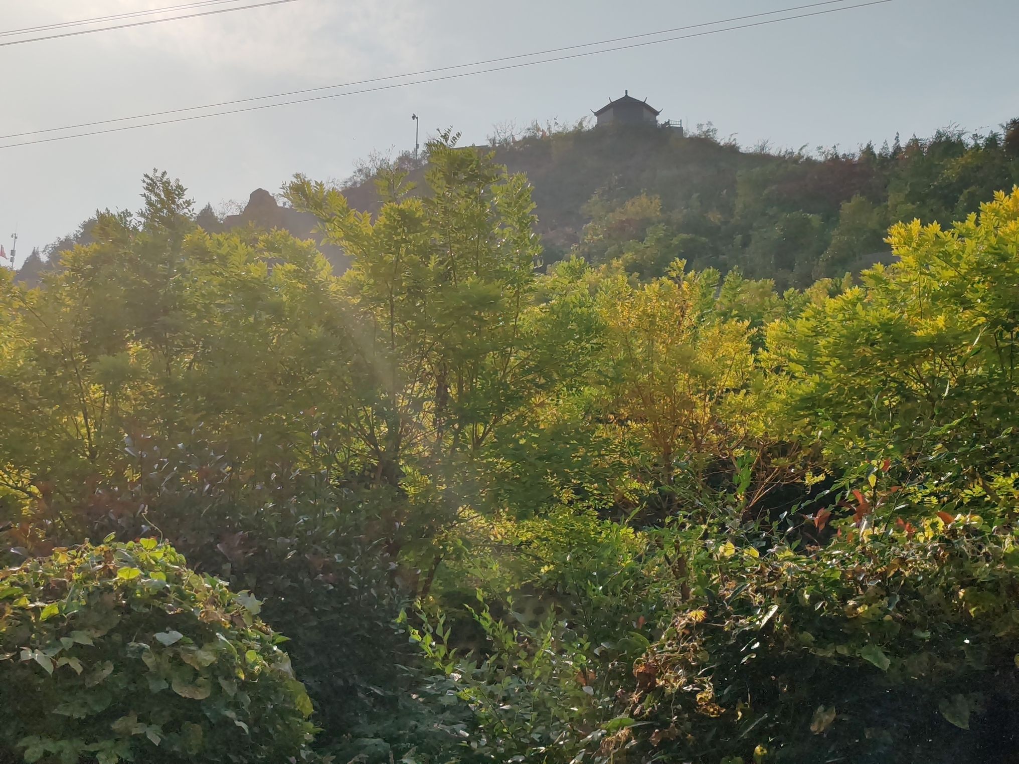 龙山蜡像馆景区旅行图片 3