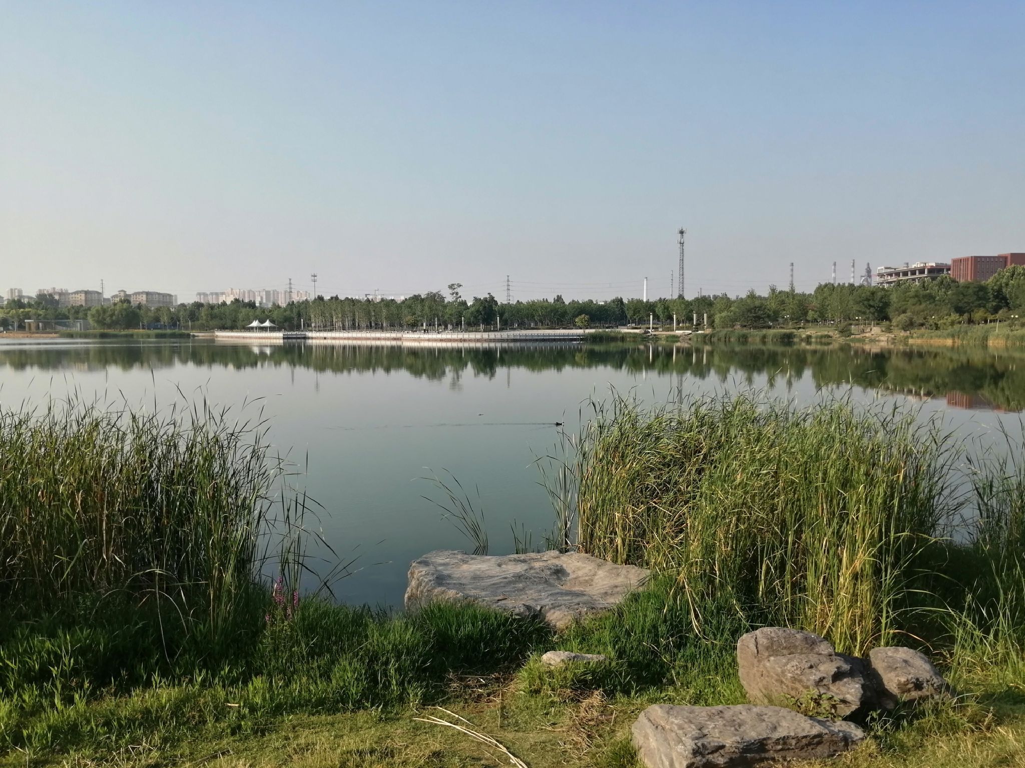 东虢湖旅行图片 2