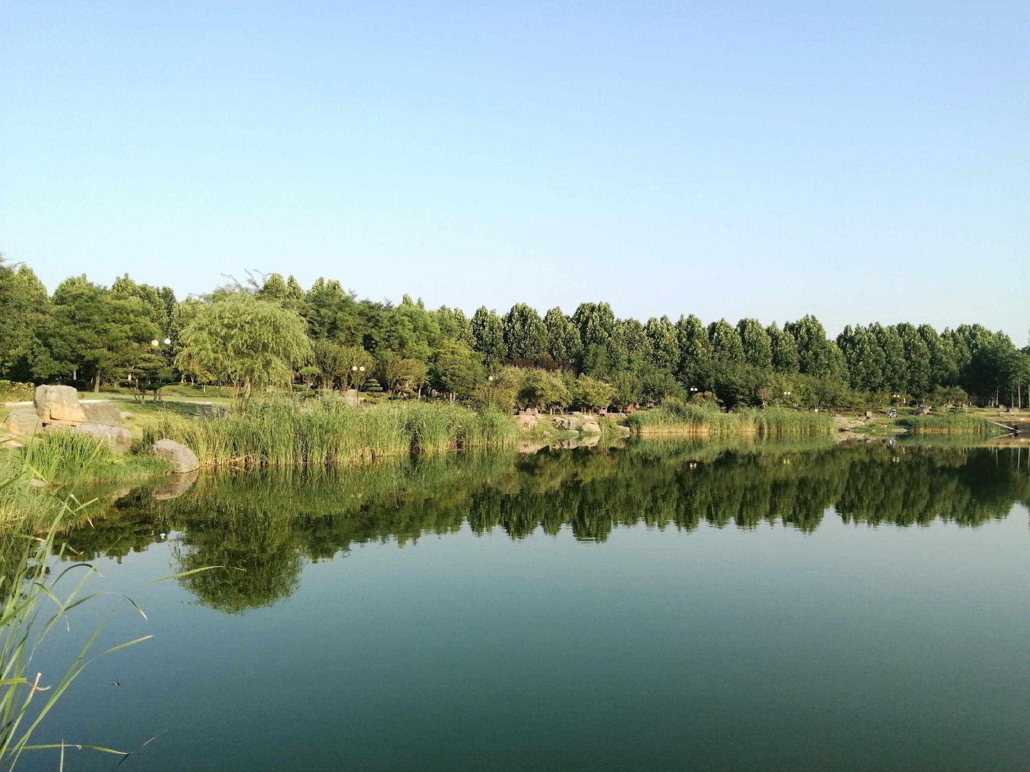 东虢湖旅行图片 1