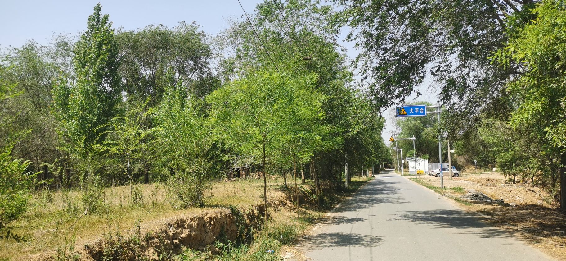 沙丘平台遗址旅行图片 1