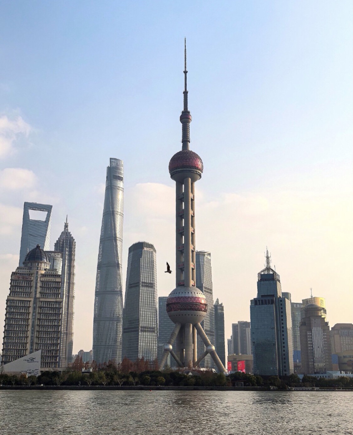 北外滩国客中心旅行图片 1