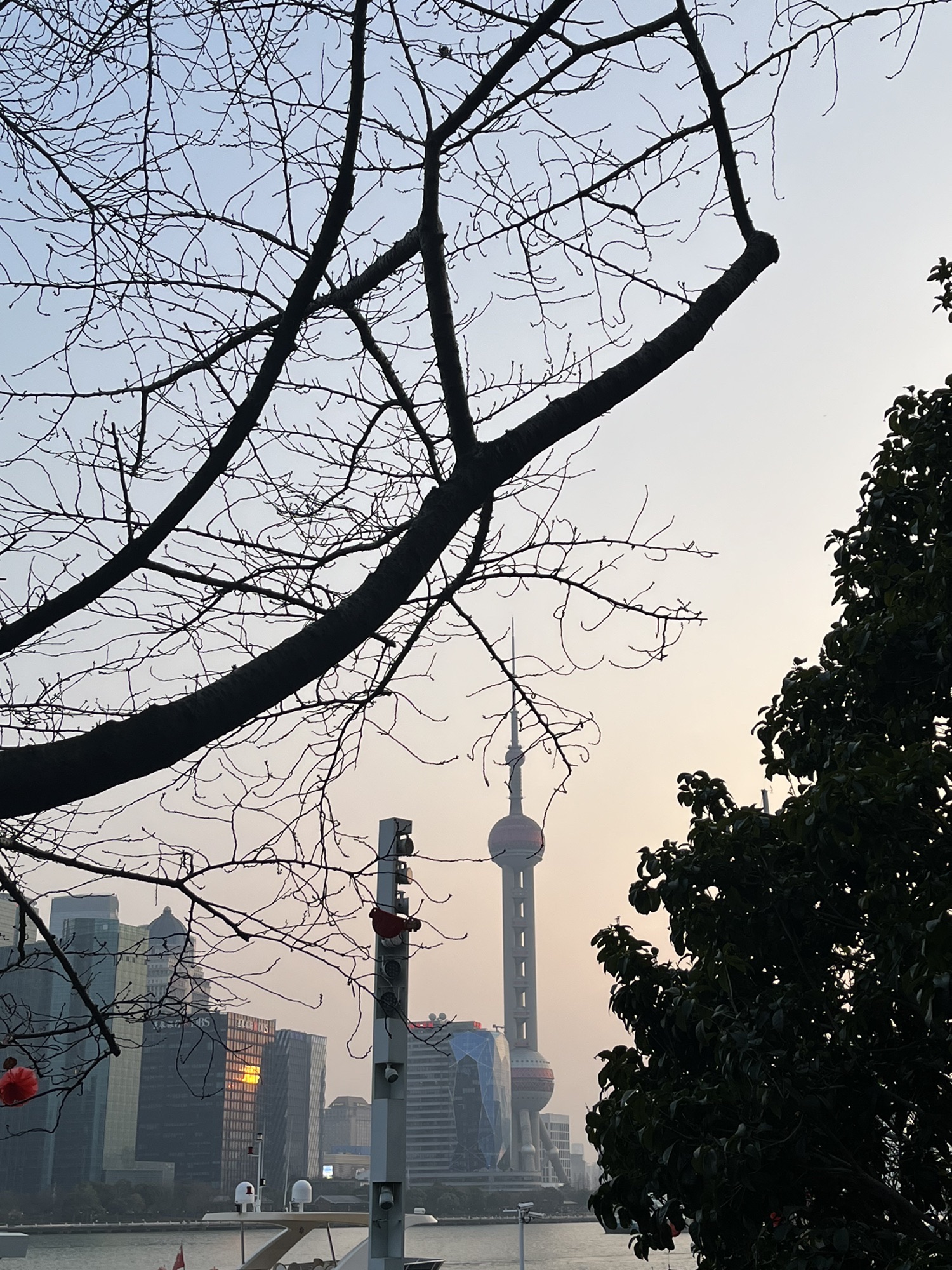 北外滩国客中心旅行图片 3