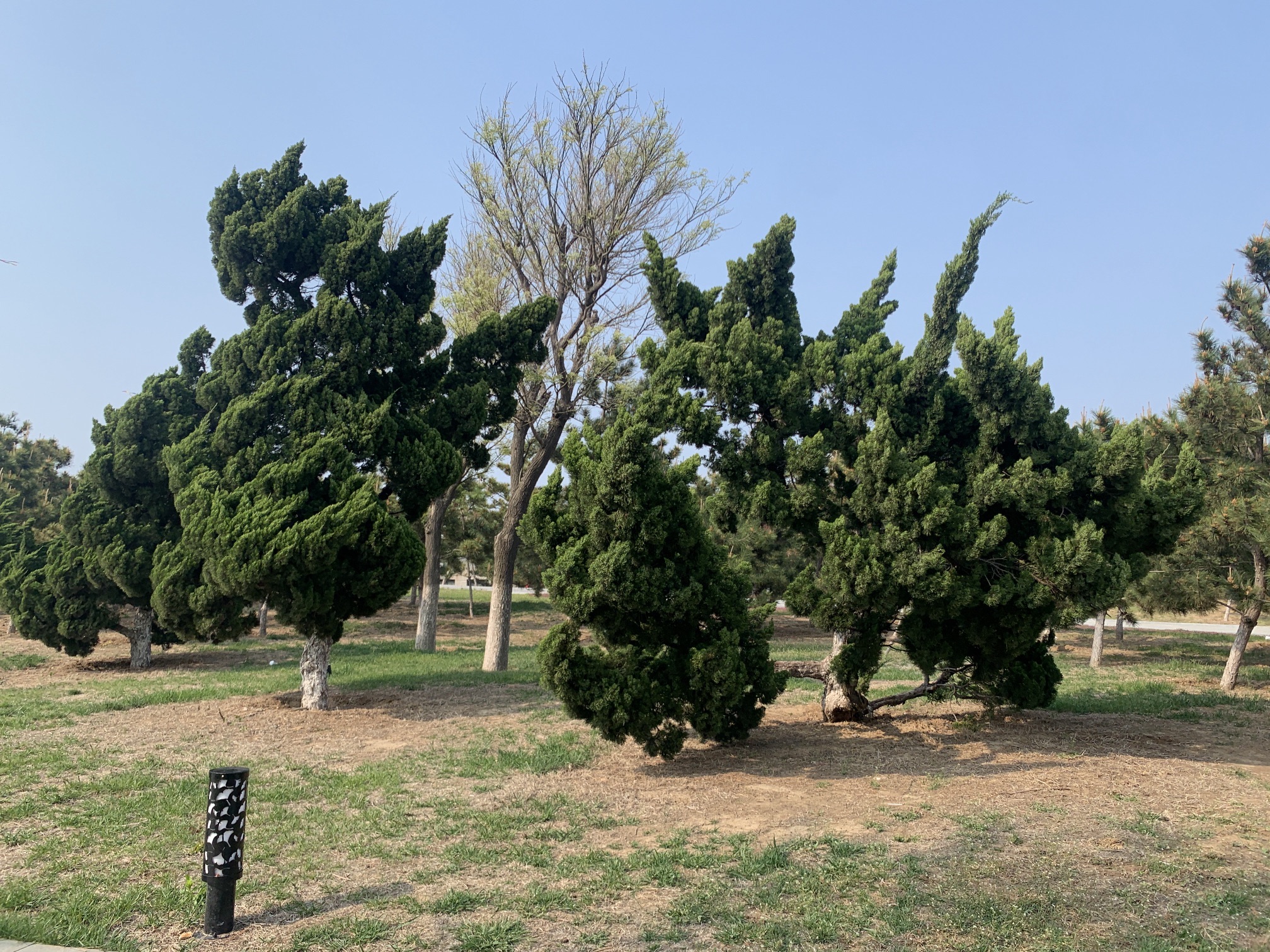 海市公园旅行图片 2