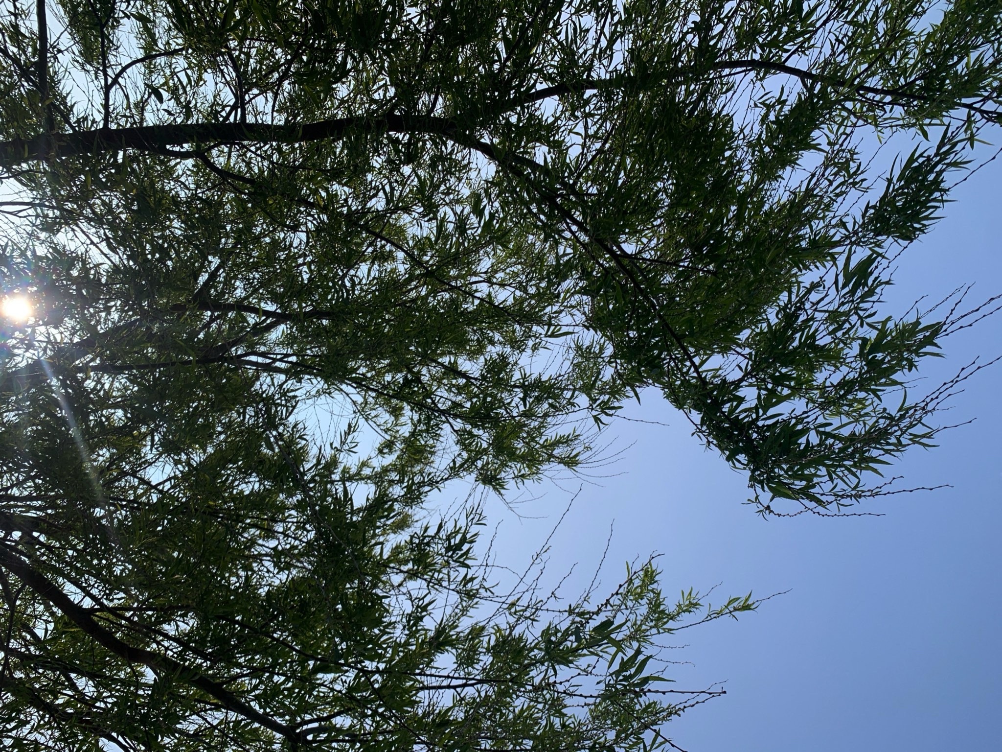 海市公园旅行图片 1